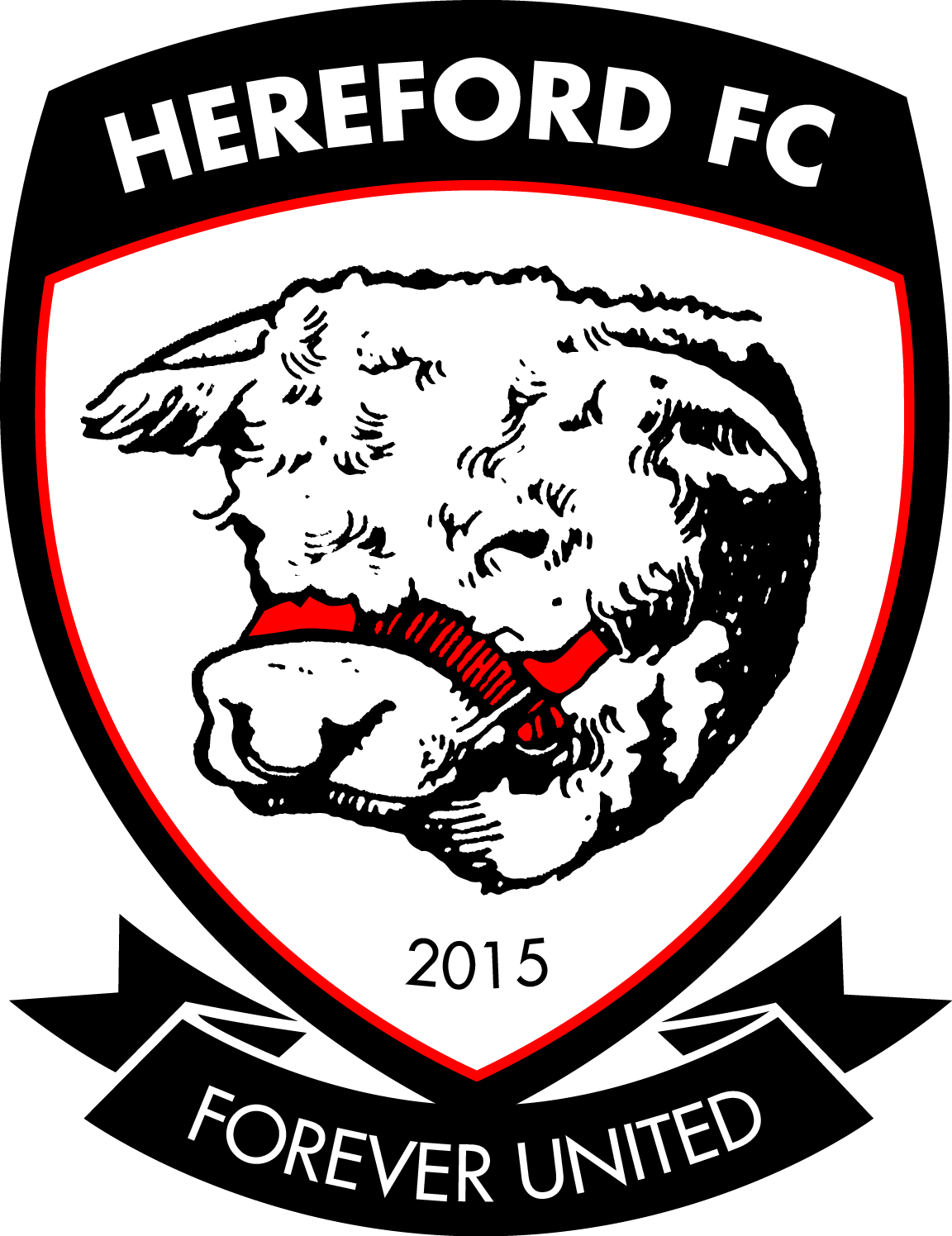 Hereford Goals Sponsorship Blue Line Taxis